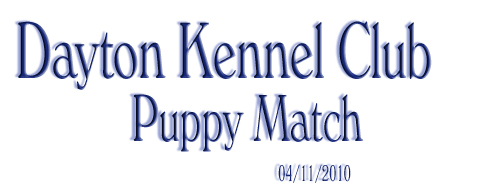 Puppy Match 2010